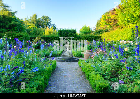 Jardins du pays d'Auge, (Normandie, France), 'jardin de l'amour courtois" formé avec quatre carrés de Buxus hedges, delphinium, roses Banque D'Images