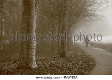 Un homme et chien a prendre un après-midi de marche en Allemagne sur un brouillard très froide journée. Banque D'Images