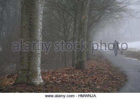 Un homme et chien a prendre un après-midi de marche en Allemagne sur un brouillard très froide journée. Banque D'Images