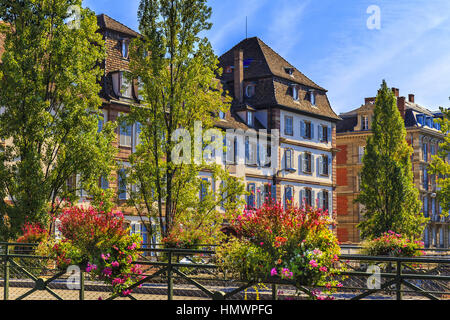 Green Street dans le centre historique de Strasbourg, France avec une décoration florale. Banque D'Images