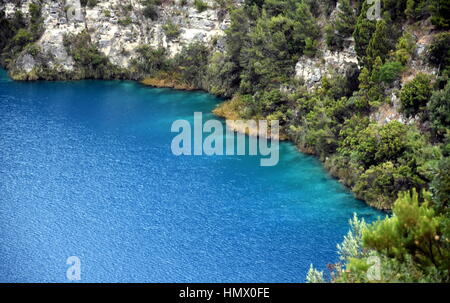 L'incroyable Lac Bleu à Mt Gambier, Australie du Sud. Le Lac Bleu est un grand lac de cratère monomictique situé dans un état dormant maar volcanique associé Banque D'Images