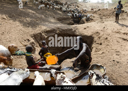 L'ETHIOPIE, le sud de l'ONU, vallée de l'Omo, Kangaten, village Kakuta, tribu Nyangatom, Shepherd donnez de l'eau à leurs chèvres à partir de l'eau dans les trous de la rivière Kibish sec , la région souffre de l'extrême rareté de l'eau Banque D'Images