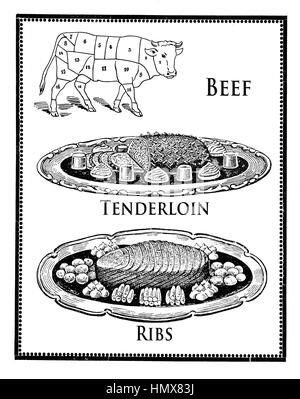 Cuisine Vintage gravure, coupes de boeuf de boucherie et l'art de la préparation et les côtes filet Banque D'Images