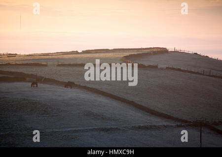 Calderdale, West Yorkshire, Royaume-Uni. Feb 6, 2017. Météo. Brouillard et gel profond un lundi matin, dans le Yorkshire. Un lointain Emley Moor émetteur de télévision se dresse au-dessus de la brume. Emley Moor station émettrice est une installation de télécommunications et de radiodiffusion sur Emley Moor, 1 mile à l'ouest d'Emley, à Kirklees, West Yorkshire, Angleterre la plus visible de la station est fonction de ses 1 084 pieds (330,4 m) de hauteur de la tour de béton, qui est un bâtiment classé Grade II. Il s'agit de la plus haute structure autoportante au Royaume-Uni, 7e plus haute structure autoportante dans l'Union européenne, 4ème tour la plus haute i Banque D'Images