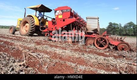 CAMPO MOURÃO, Communication - 05.02.2017 : PLANTIO DE MILHO SAFRINHA - Animated avec des prix sac de maïs et de parier sur une excellente production, Campo Mourao agriculteurs dans la région de Midwest de Paraná, qui sont encore à la récolte précoce du soja, ont commencé les semis de maïs d'hiver. La production prévue est d'environ 250 sacs par boisseau. Sur la photo, l'usine de semences de maïs d'hiver des agriculteurs en milieu rural dans les environs de São Paulo. (Photo : Dirceu Portugal/Fotoarena) Banque D'Images