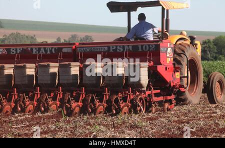 CAMPO MOURÃO, Communication - 05.02.2017 : PLANTIO DE MILHO SAFRINHA - Animated avec des prix sac de maïs et de parier sur une excellente production, Campo Mourao agriculteurs dans la région de Midwest de Paraná, qui sont encore à la récolte précoce du soja, ont commencé les semis de maïs d'hiver. La production prévue est d'environ 250 sacs par boisseau. Sur la photo, l'usine de semences de maïs d'hiver des agriculteurs en milieu rural dans les environs de São Paulo. (Photo : Dirceu Portugal/Fotoarena) Banque D'Images