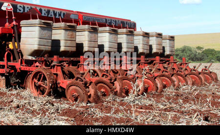 CAMPO MOURÃO, Communication - 05.02.2017 : PLANTIO DE MILHO SAFRINHA - Animated avec des prix sac de maïs et de parier sur une excellente production, Campo Mourao agriculteurs dans la région de Midwest de Paraná, qui sont encore à la récolte précoce du soja, ont commencé les semis de maïs d'hiver. La production prévue est d'environ 250 sacs par boisseau. Sur la photo, l'usine de semences de maïs d'hiver des agriculteurs en milieu rural dans les environs de São Paulo. (Photo : Dirceu Portugal/Fotoarena) Banque D'Images