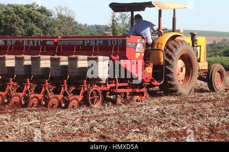 CAMPO MOURÃO, Communication - 05.02.2017 : PLANTIO DE MILHO SAFRINHA - Animated avec des prix sac de maïs et de parier sur une excellente production, Campo Mourao agriculteurs dans la région de Midwest de Paraná, qui sont encore à la récolte précoce du soja, ont commencé les semis de maïs d'hiver. La production prévue est d'environ 250 sacs par boisseau. Sur la photo, l'usine de semences de maïs d'hiver des agriculteurs en milieu rural dans les environs de São Paulo. (Photo : Dirceu Portugal/Fotoarena) Banque D'Images