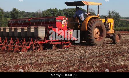 CAMPO MOURÃO, Communication - 05.02.2017 : PLANTIO DE MILHO SAFRINHA - Animated avec des prix sac de maïs et de parier sur une excellente production, Campo Mourao agriculteurs dans la région de Midwest de Paraná, qui sont encore à la récolte précoce du soja, ont commencé les semis de maïs d'hiver. La production prévue est d'environ 250 sacs par boisseau. Sur la photo, l'usine de semences de maïs d'hiver des agriculteurs en milieu rural dans les environs de São Paulo. (Photo : Dirceu Portugal/Fotoarena) Banque D'Images