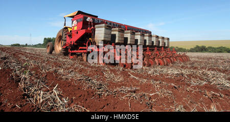 CAMPO MOURÃO, Communication - 05.02.2017 : PLANTIO DE MILHO SAFRINHA - Animated avec des prix sac de maïs et de parier sur une excellente production, Campo Mourao agriculteurs dans la région de Midwest de Paraná, qui sont encore à la récolte précoce du soja, ont commencé les semis de maïs d'hiver. La production prévue est d'environ 250 sacs par boisseau. Sur la photo, l'usine de semences de maïs d'hiver des agriculteurs en milieu rural dans les environs de São Paulo. (Photo : Dirceu Portugal/Fotoarena) Banque D'Images