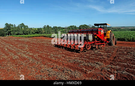 CAMPO MOURÃO, Communication - 05.02.2017 : PLANTIO DE MILHO SAFRINHA - Animated avec des prix sac de maïs et de parier sur une excellente production, Campo Mourao agriculteurs dans la région de Midwest de Paraná, qui sont encore à la récolte précoce du soja, ont commencé les semis de maïs d'hiver. La production prévue est d'environ 250 sacs par boisseau. Sur la photo, l'usine de semences de maïs d'hiver des agriculteurs en milieu rural dans les environs de São Paulo. (Photo : Dirceu Portugal/Fotoarena) Banque D'Images