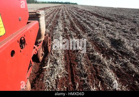 CAMPO MOURÃO, Communication - 05.02.2017 : PLANTIO DE MILHO SAFRINHA - Animated avec des prix sac de maïs et de parier sur une excellente production, Campo Mourao agriculteurs dans la région de Midwest de Paraná, qui sont encore à la récolte précoce du soja, ont commencé les semis de maïs d'hiver. La production prévue est d'environ 250 sacs par boisseau. Sur la photo, l'usine de semences de maïs d'hiver des agriculteurs en milieu rural dans les environs de São Paulo. (Photo : Dirceu Portugal/Fotoarena) Banque D'Images