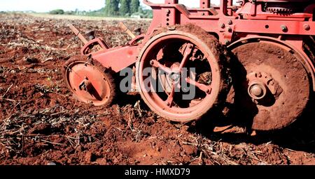 CAMPO MOURÃO, Communication - 05.02.2017 : PLANTIO DE MILHO SAFRINHA - Animated avec des prix sac de maïs et de parier sur une excellente production, Campo Mourao agriculteurs dans la région de Midwest de Paraná, qui sont encore à la récolte précoce du soja, ont commencé les semis de maïs d'hiver. La production prévue est d'environ 250 sacs par boisseau. Sur la photo, l'usine de semences de maïs d'hiver des agriculteurs en milieu rural dans les environs de São Paulo. (Photo : Dirceu Portugal/Fotoarena) Banque D'Images