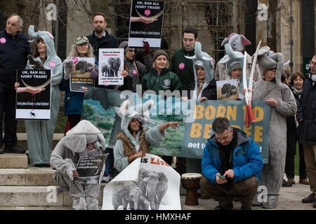 Londres, Royaume-Uni. 6 Février, 2017. Les militants des droits des animaux, dont certains déguisés en éléphants, organiser un rassemblement pacifique devant le Parlement pour soutenir le débat sur l'interdiction de l'ivoire au Royaume-Uni. Credit : Mark Kerrison/Alamy Live News Banque D'Images