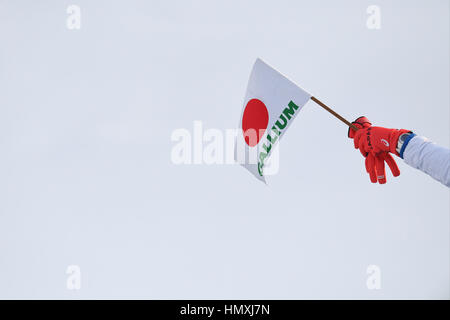 Sunkar Saut à ski international complexe, Almaty, Kazakhstan. Feb, 2017 5. Vue générale, le 5 février 2017 - Saut à Ski : 28e Universiade d'hiver 2017 d'Almaty à l'équipe féminine de saut à ski International Sunkar complexe, Almaty, Kazakhstan. Credit : AFLO SPORT/Alamy Live News Banque D'Images