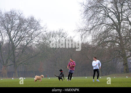Londres, Royaume-Uni. 07Th Feb 2017. Matin brumeux sur Wandsworth Common. Credit : JOHNNY ARMSTEAD/Alamy Live News