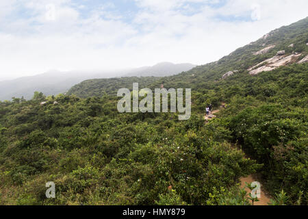 Vue sur les collines verdoyantes et luxuriantes et la nature le long du sentier de randonnée de l'arrière du Dragon à Hong Kong, Chine. Banque D'Images