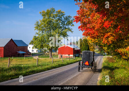 Un grand Amish farm home à Cheval et buggy, près de Berlin, dans l'Ohio, aux États-Unis. Banque D'Images