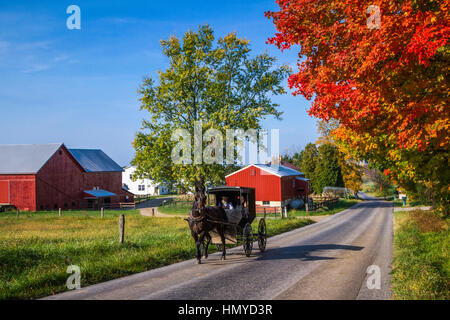 Un grand Amish farm home à Cheval et buggy, près de Berlin, dans l'Ohio, aux États-Unis. Banque D'Images