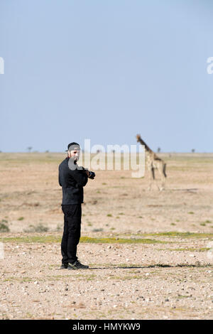 Un photographe se tient devant une girafe qui se dresse dans le désert du Namib Banque D'Images