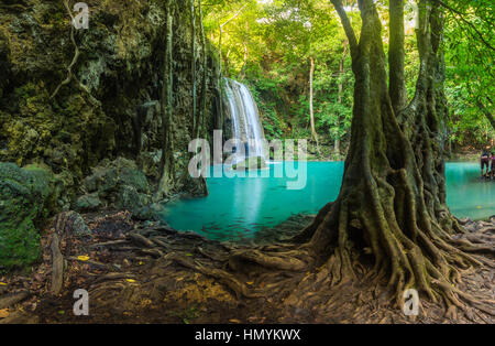 Environnement chute d'Erawan avec grand arbre et des eaux émeraude à Kanchanaburi, Thaïlande Banque D'Images