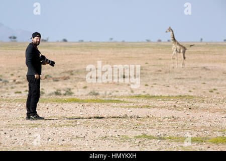 Un photographe se tient devant une girafe qui se dresse dans le désert du Namib Banque D'Images