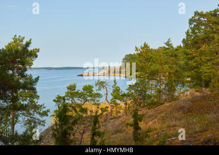 Coast de l'otu une île dans la mer Baltique, l'archipel de Stockholm, Suède, Scandinavie Banque D'Images