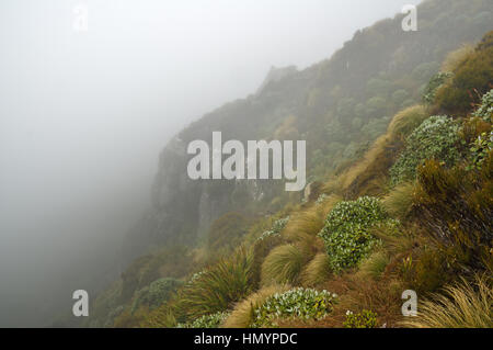 Brouillard mystérieux pente avec cliff le long de la crête de bosse en Nouvelle Zélande Banque D'Images