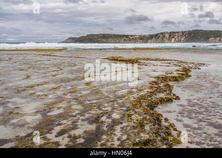 Pennington Bay à marée basse en pleine tempête paysage. Kangaroo Island, Australie du Sud Banque D'Images