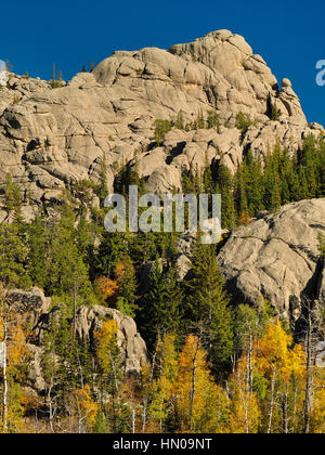 Harney Peak Trail, Custer State Park, Black Hills, Rapid City, Dakota du Sud, USA Banque D'Images