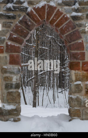 Pierre gothique porte avec arbres d'érable dans la neige. Neige Banque D'Images