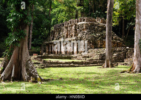 Ancienne ville de Yaxchilan caché dans la jungle à la frontière du Mexique et du Guatemala Banque D'Images