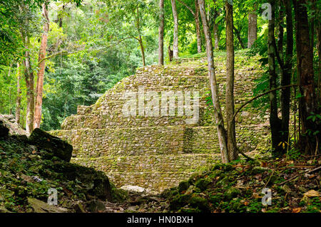 Ancienne ville de Yaxchilan caché dans la jungle à la frontière du Mexique et du Guatemala Banque D'Images