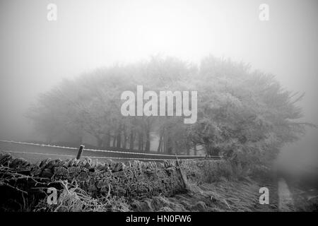 En Bois d'épaisseur du brouillard givrant sur le bord d'Eyame moor au-dessus du village de la peste Banque D'Images