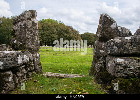 Lligwy Din, une ancienne colonie d'Anglesey, au Pays de Galles, Royaume-Uni Banque D'Images