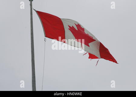 Le drapeau canadien Banque D'Images