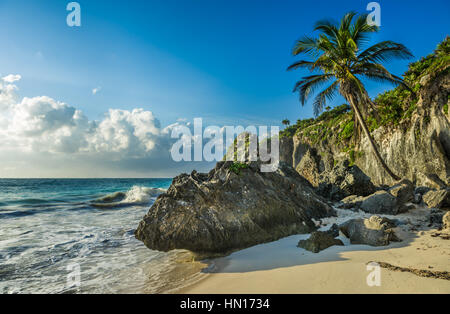 Plage des Caraïbes avec cocotier, Tulum, Mexique Banque D'Images