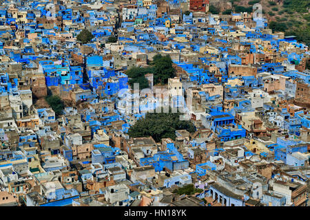 Vue aérienne de maisons de couleur bleu Jodhpur, Rajasthan, India Banque D'Images