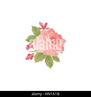 Bouquet floral isolé sur fond blanc. été fleur rose posy. carte de souhaits avec des fleurs roses fond d'épanouir. Illustration de Vecteur