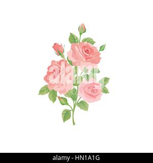 Bouquet floral isolé sur fond blanc. fleur rose posy. carte de souhaits avec des fleurs roses fond d'épanouir. Illustration de Vecteur