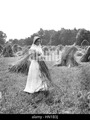 Période édouardienne country farm girl making hay 1900s Banque D'Images