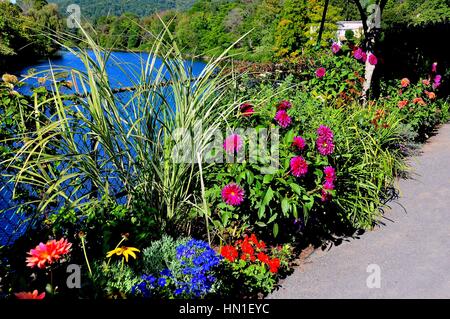 Shelbune Falls, Massachusetts - le 15 septembre 2014 : vivaces colorées avec le Pont de la ligne de Dahlias fleurs, un ancien trolley span sur la Banque D'Images
