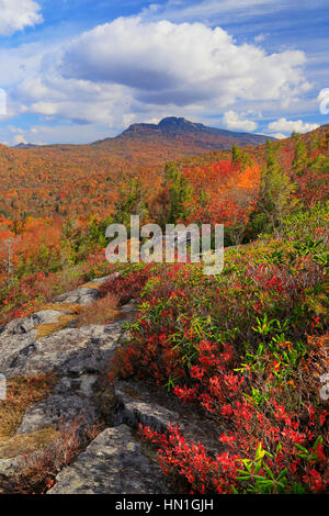 Grandfather Mountain vu de Flat Rock, Blue Ridge Parkway, North Carolina, USA Banque D'Images