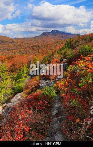 Grandfather Mountain vu de Flat Rock, Blue Ridge Parkway, North Carolina, USA Banque D'Images