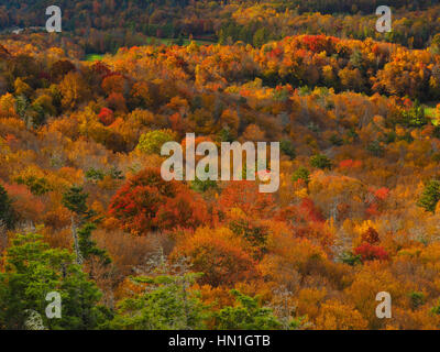 Sur le rocher plat, Blue Ridge Parkway, North Carolina, USA Banque D'Images