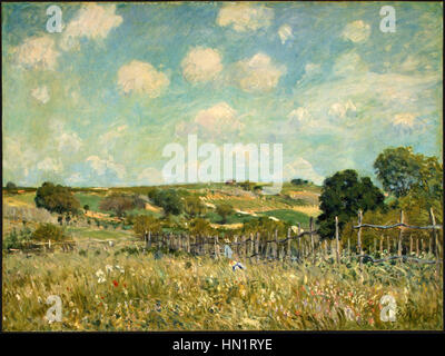 Pré, Alfred Sisley, 1875 Banque D'Images