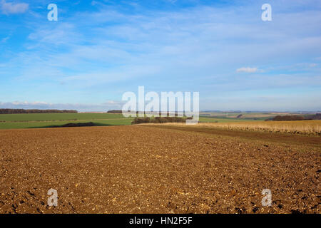 A labouré la terre crayeuse dans un paysage agricole français l'agriculture avec des collines et des haies sous un ciel nuageux bleu en hiver dans le Yorkshire Wolds Banque D'Images