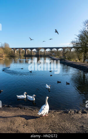 Vale rougeâtre country park, Greater Manchester, Angleterre Banque D'Images