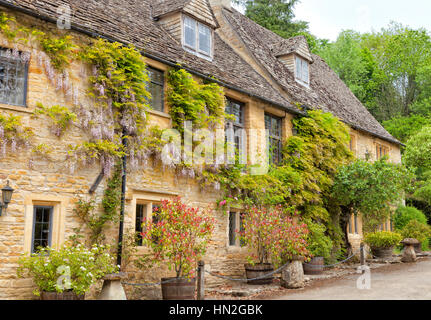 Charmant hôtel Cotswolds chalets d'or pourpre avec des glycines, les plantes dans les barriques, champignons de pierres ornementales Banque D'Images