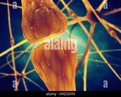 La transmission synaptique est le processus biologique par lequel les neurotransmetteurs sont libérés par un neurone et activer les récepteurs d'un autre neurone Banque D'Images